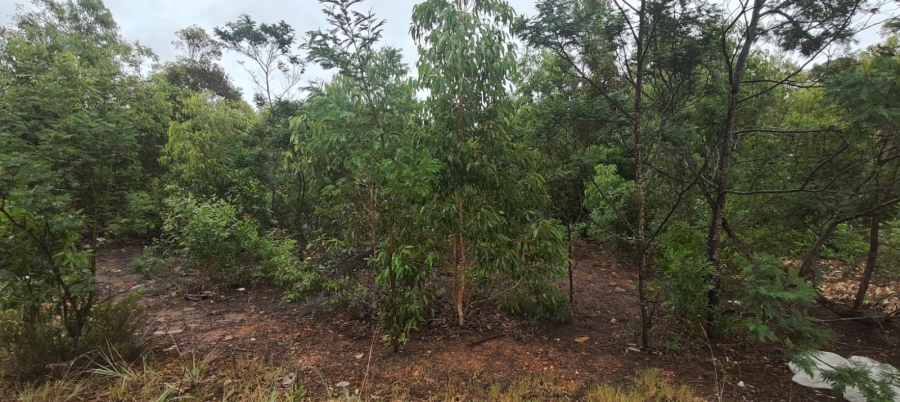 0 Bedroom Property for Sale in Greenbushes Eastern Cape